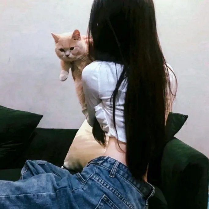 独狼2013