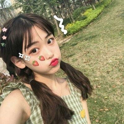 公主复仇者